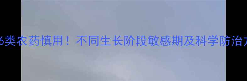 图片 芥菜安全用药指南：这6类农药慎用！不同生长阶段敏感期及科学防治方案（附用药时间表）1