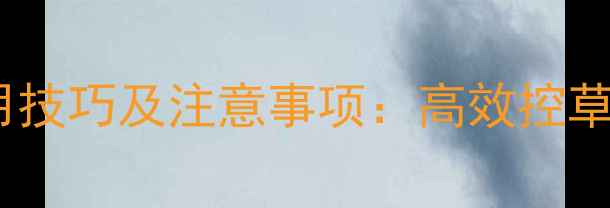 图片 苗后香菜除草剂使用技巧及注意事项：高效控草不伤苗的实战指南1