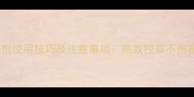 图片 苗后香菜除草剂使用技巧及注意事项：高效控草不伤苗的实战指南2
