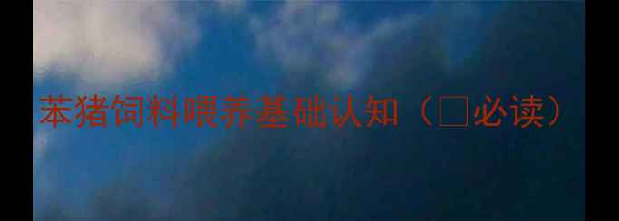 图片 苯猪饲料喂养基础认知（📌必读）