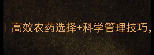 图片 茶小绿叶蝉防治指南｜高效农药选择+科学管理技巧，守护茶园健康生长1