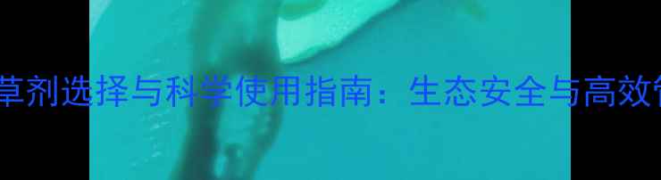 图片 草坪除草剂选择与科学使用指南：生态安全与高效管理全1