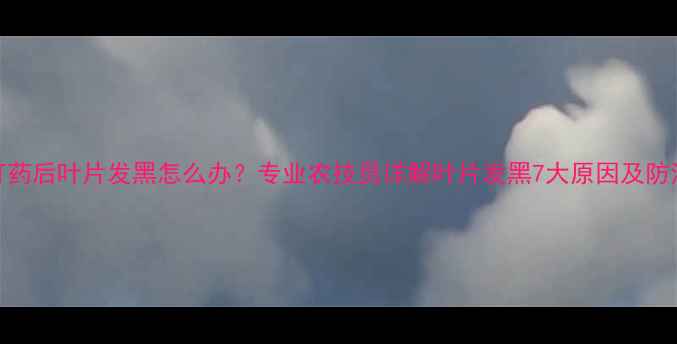 图片 草莓打药后叶片发黑怎么办？专业农技员详解叶片发黑7大原因及防治方案