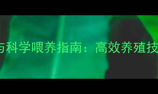 图片 草鱼饲料选择与科学喂养指南：高效养殖技术及常见问题2