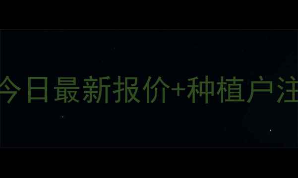 图片 荷泽玉米价格波动分析｜今日最新报价+种植户注意事项（附种植技术）🌽