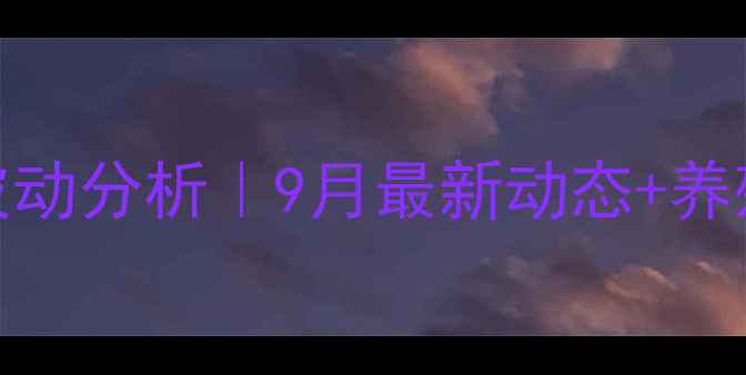 图片 莒南县生猪价格波动分析｜9月最新动态+养殖户应对策略全🔥