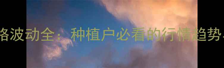 图片 莱芜蒜薹价格波动全：种植户必看的行情趋势与应对策略1