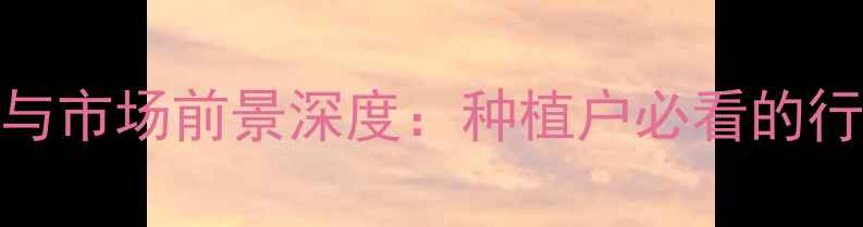 图片 莱阳花生价格波动与市场前景深度：种植户必看的行情分析与应对策略