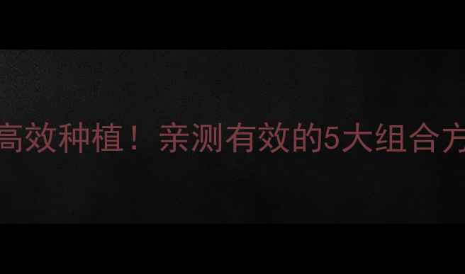 图片 菊脂农药+玉米除草剂=高效种植！亲测有效的5大组合方案，附安全使用指南🌾