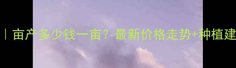 图片 菏泽玉米价格今日行情｜亩产多少钱一亩？最新价格走势+种植建议（附政府补贴政策）