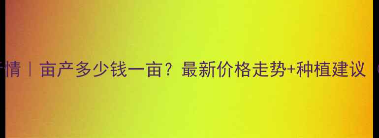 图片 菏泽玉米价格今日行情｜亩产多少钱一亩？最新价格走势+种植建议（附政府补贴政策）2