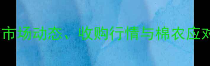 图片 菏泽籽棉价格走势全：市场动态、收购行情与棉农应对策略（附最新数据）1