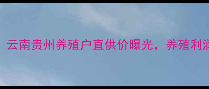 图片 藏猪猪肉价格最新报价！云南贵州养殖户直供价曝光，养殖利润翻倍攻略+选购指南🔥1