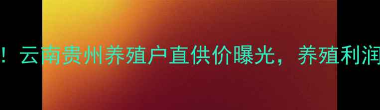 图片 藏猪猪肉价格最新报价！云南贵州养殖户直供价曝光，养殖利润翻倍攻略+选购指南🔥2