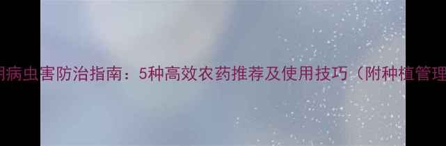 图片 蚕豆苗期病虫害防治指南：5种高效农药推荐及使用技巧（附种植管理要点）1