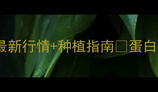 图片 蛋白棉价格波动大？最新行情+种植指南🔥蛋白棉价格差距大原因💰1