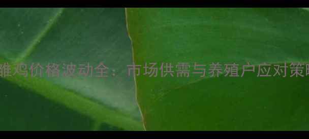 图片 蛋雏鸡价格波动全：市场供需与养殖户应对策略1
