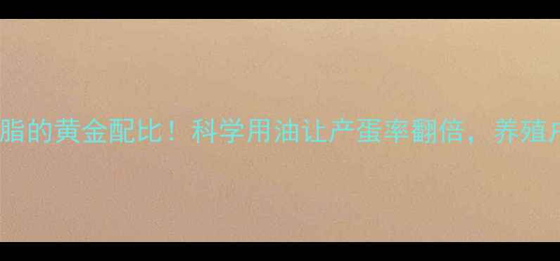 图片 蛋鸡饲料中添加油脂的黄金配比！科学用油让产蛋率翻倍，养殖户必看的营养密码1
