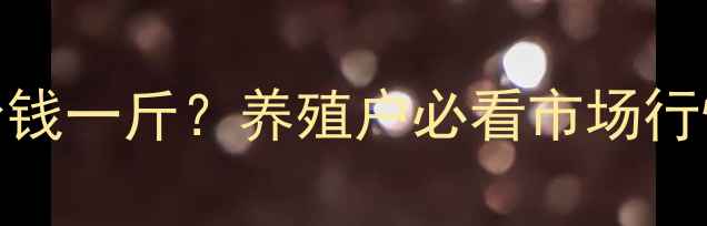 图片 蛤蟆鱼价格多少钱一斤？养殖户必看市场行情与销售策略全
