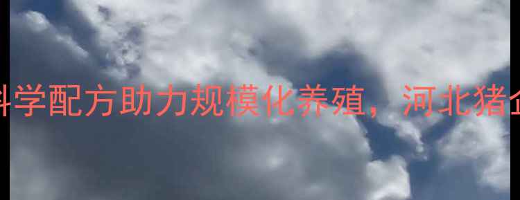图片 衡水伟嘉猪饲料：科学配方助力规模化养殖，河北猪企首选的增重黑科技