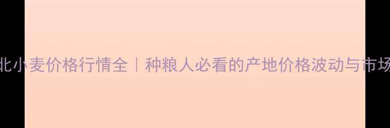 图片 衡水北小麦价格行情全｜种粮人必看的产地价格波动与市场趋势