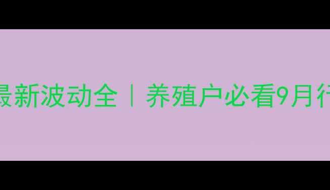 图片 衡水生猪价格最新波动全｜养殖户必看9月行情避坑指南🔥