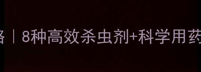 图片 褐飞虱防治全攻略｜8种高效杀虫剂+科学用药指南（附配图）1