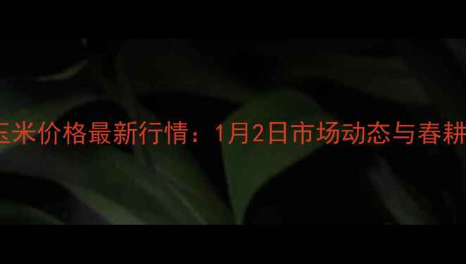 图片 西平玉米价格最新行情：1月2日市场动态与春耕前瞻2