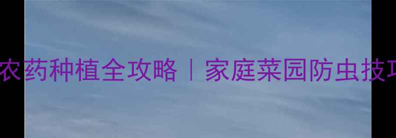 图片 西红柿零农药种植全攻略｜家庭菜园防虫技巧大公开1
