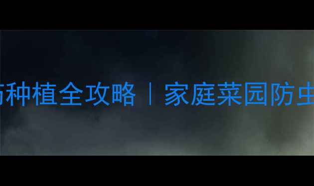 图片 西红柿零农药种植全攻略｜家庭菜园防虫技巧大公开2
