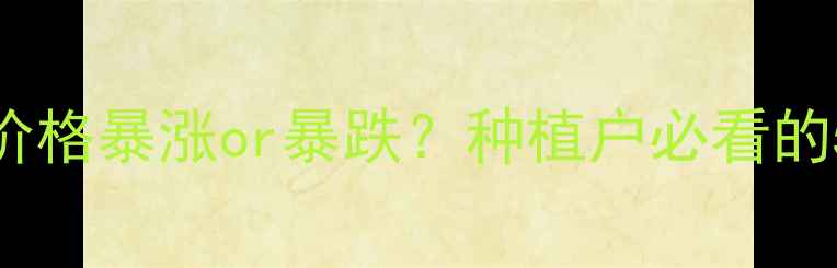 图片 豆柏价格行情🔥豆柏价格暴涨or暴跌？种植户必看的5大趋势与避坑指南！