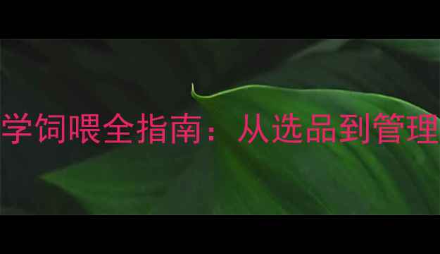 图片 贝贝乳猪饲料科学饲喂全指南：从选品到管理的12个关键细节