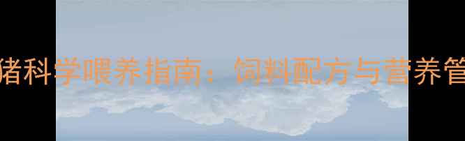 图片 贵宾猪科学喂养指南：饲料配方与营养管理全