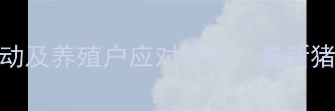 图片 贵州生猪价格波动及养殖户应对策略：最新猪仔市场行情深度