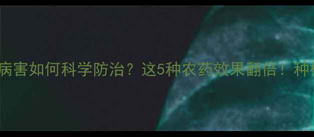 图片 辣椒常见病害如何科学防治？这5种农药效果翻倍！种植户必看1