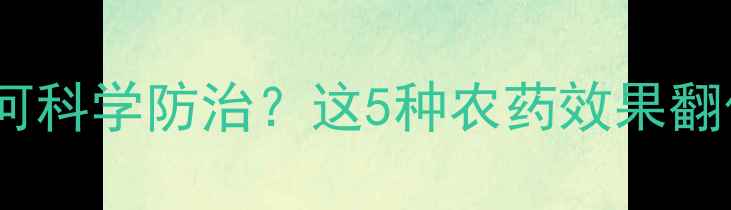 图片 辣椒常见病害如何科学防治？这5种农药效果翻倍！种植户必看2