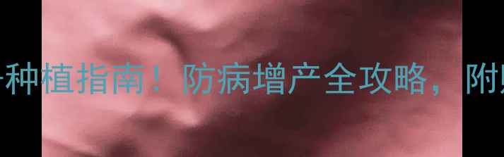 图片 达将特农药最新价格+种植指南！防病增产全攻略，附购买渠道和避坑技巧2