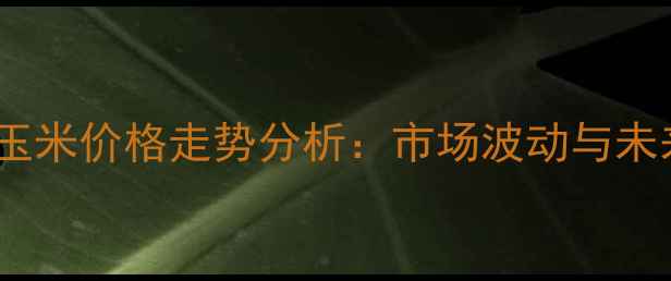 图片 连云港玉米价格走势分析：市场波动与未来预测2