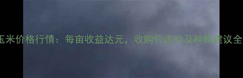 图片 通辽玉米价格行情：每亩收益达元，收购价走势及种植建议全攻略1
