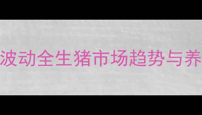 图片 邳州大猪价格波动全生猪市场趋势与养殖户应对指南