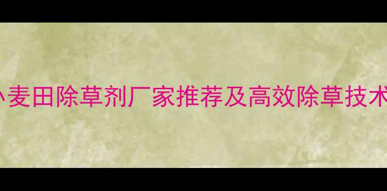 图片 郑州小麦田除草剂厂家推荐及高效除草技术指南2