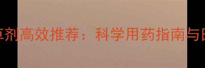 图片 野燕麦除草剂高效推荐：科学用药指南与田间管理全