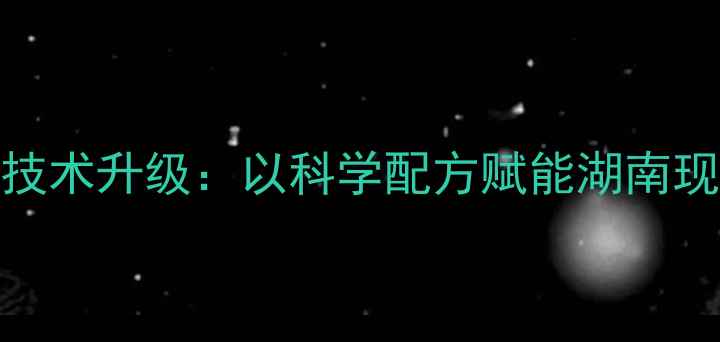 图片 长沙正邦饲料养殖技术升级：以科学配方赋能湖南现代农业高质量发展