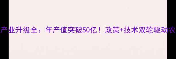 图片 阜新饲料产业升级全：年产值突破50亿！政策+技术双轮驱动农业新未来