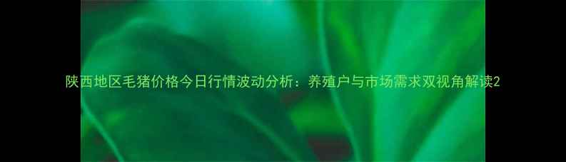 图片 陕西地区毛猪价格今日行情波动分析：养殖户与市场需求双视角解读2