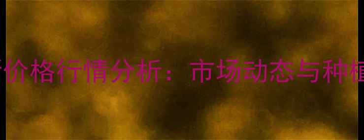 图片 陕西玉米最新价格行情分析：市场动态与种植户应对策略2