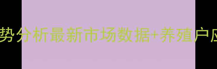 图片 陕西生猪价格走势分析最新市场数据+养殖户应对策略全解读2