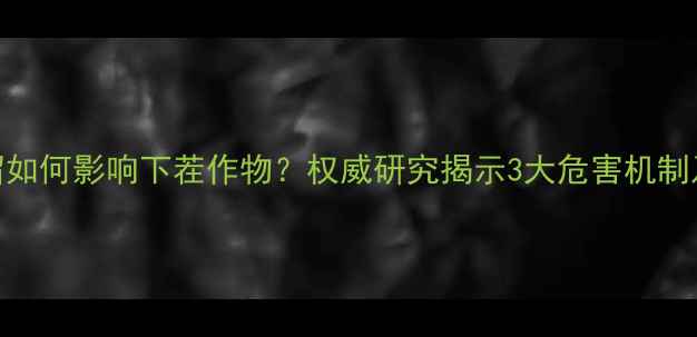 图片 除草剂残留如何影响下茬作物？权威研究揭示3大危害机制及防控策略