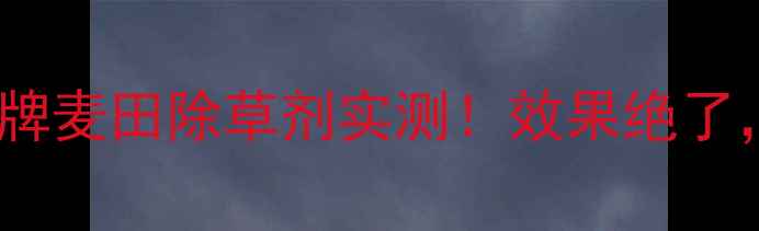 图片 除草难？雀虎牌麦田除草剂实测！效果绝了，麦农必看！2