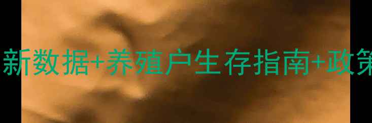 图片 青岛猪肉价格波动全最新数据+养殖户生存指南+政策解读（附选购攻略）1